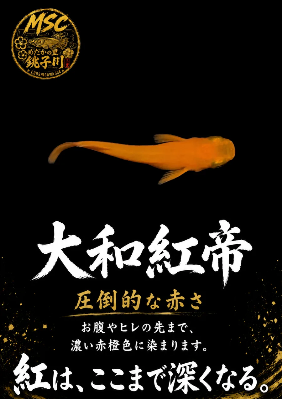 大和紅帝のInstagram作品