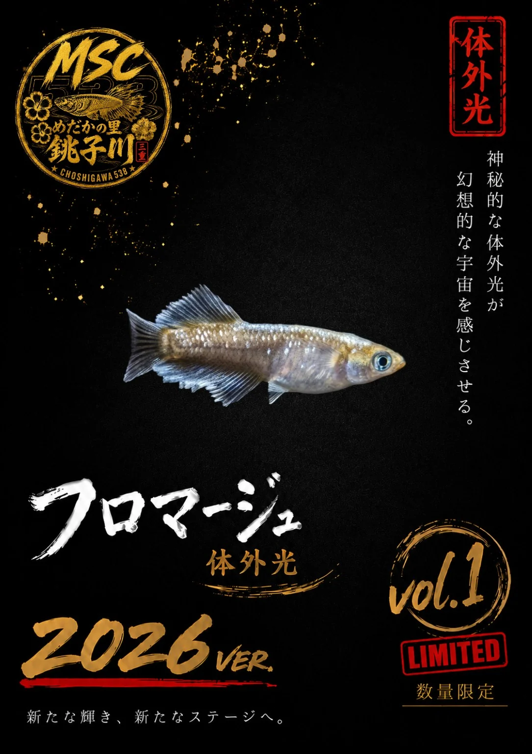 フロマージュ体外光のInstagram作品