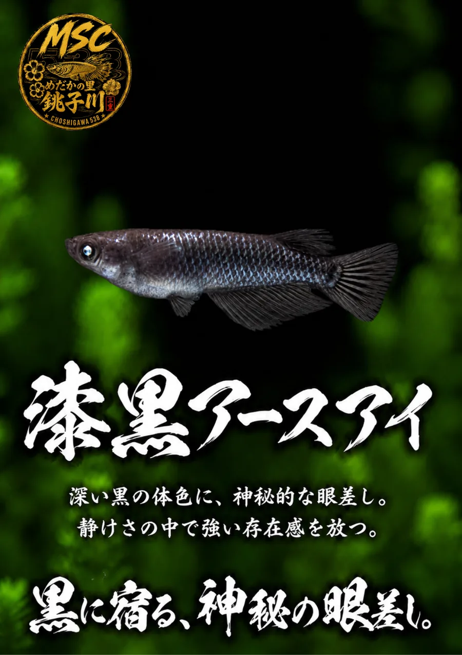 漆黒アースアイのInstagram作品