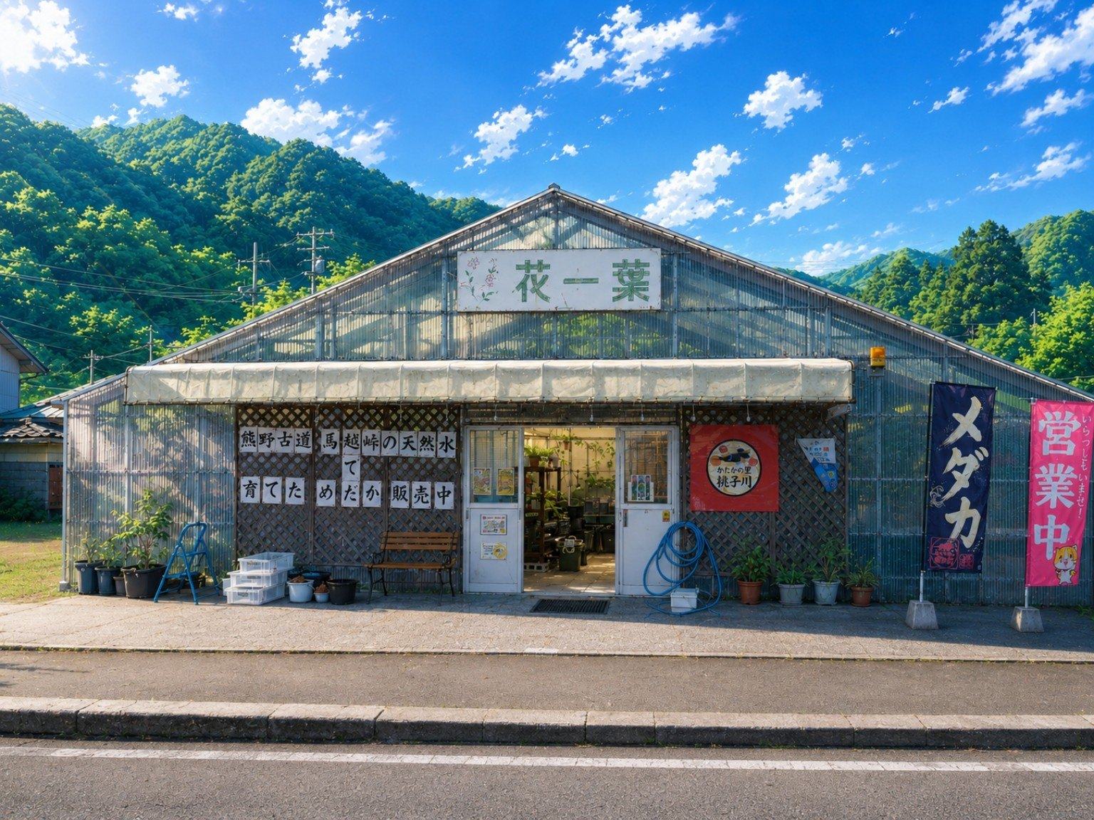 銚子川538の育成風景
